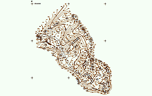 Topographic surveys - Pořešín – topographic plan of the ruin surroundings